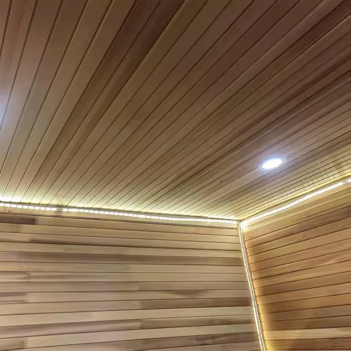 Black Frame Indoor Sauna Cabin with Glass Front