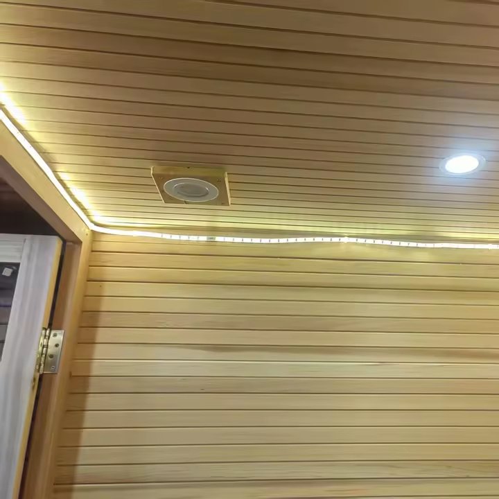 Black Frame Indoor Sauna Cabin with Glass Front